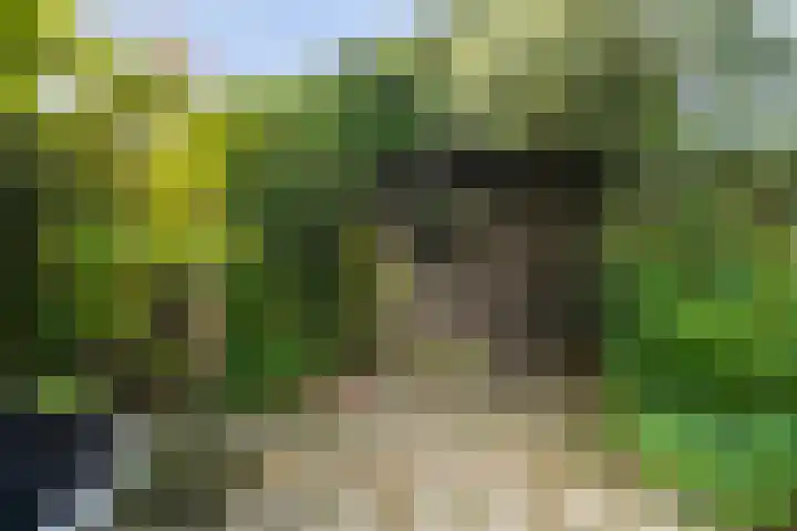 Van Kleffenslaan 67 Middelburg thumbnail 37