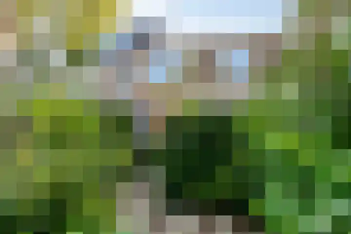 Van Kleffenslaan 67 Middelburg thumbnail 42