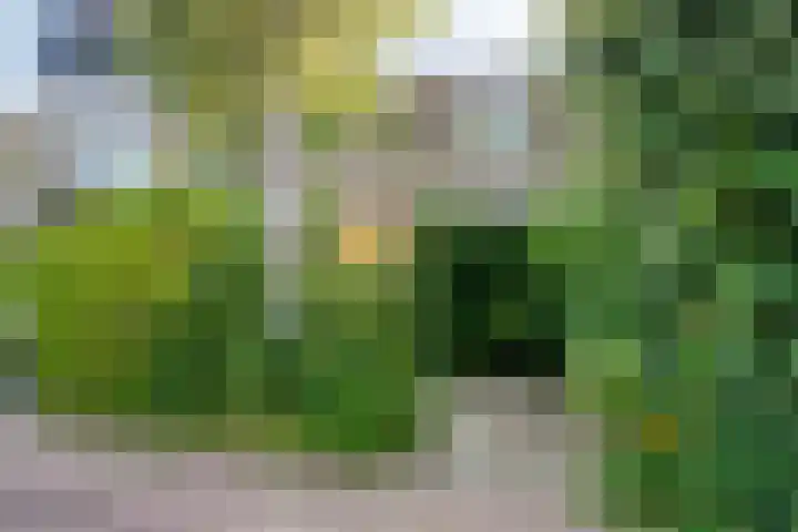 Van Kleffenslaan 67 Middelburg thumbnail 43