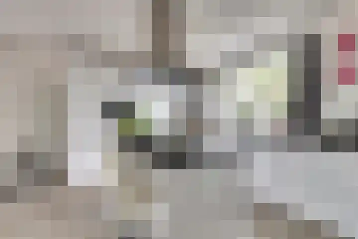 Van Kleffenslaan 77 Middelburg thumbnail 11