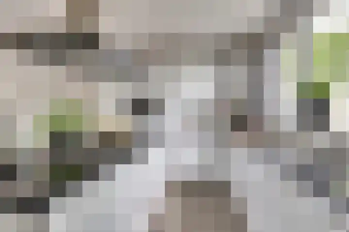 Van Kleffenslaan 77 Middelburg thumbnail 12