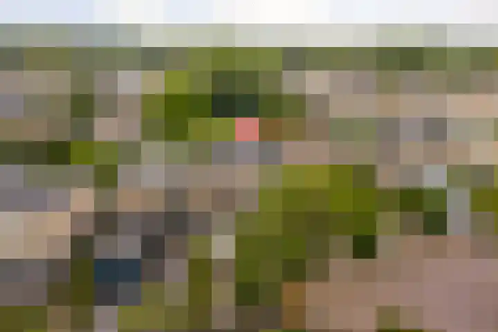 Van Kleffenslaan 77 Middelburg thumbnail 30