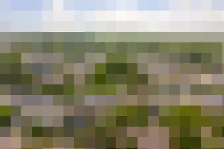 Van Kleffenslaan 77 Middelburg thumbnail 31