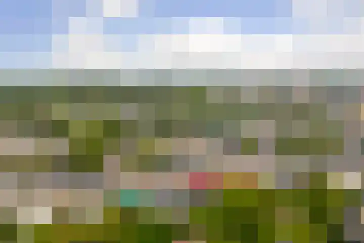 Van Kleffenslaan 77 Middelburg thumbnail 32