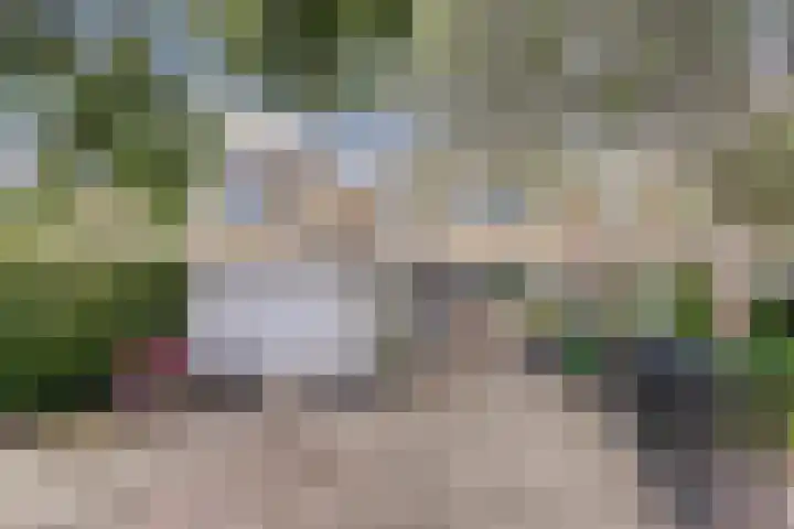 Van Kleffenslaan 77 Middelburg thumbnail 38
