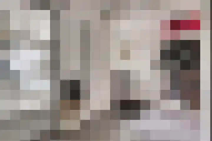 Van Kleffenslaan 77 Middelburg thumbnail 4