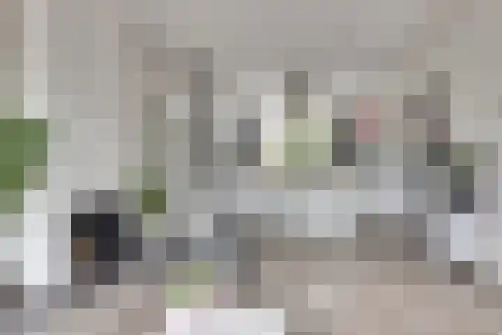 Van Kleffenslaan 77 Middelburg thumbnail 8