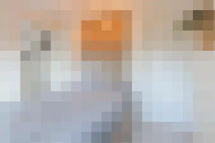 Van Kleffenslaan 8 Utrecht thumbnail 26