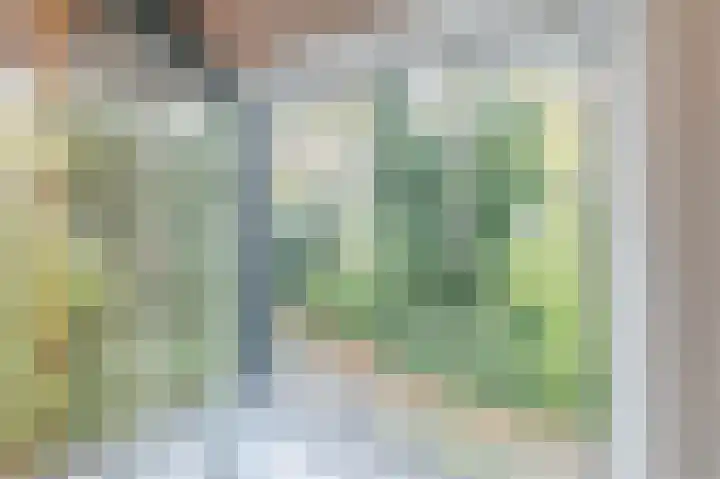 Van Kleffenslaan 8 Utrecht thumbnail 28