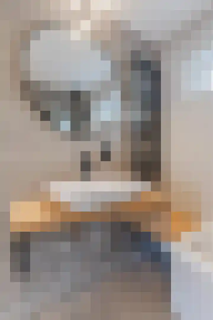 Van Kleffenslaan 8 Utrecht thumbnail 34