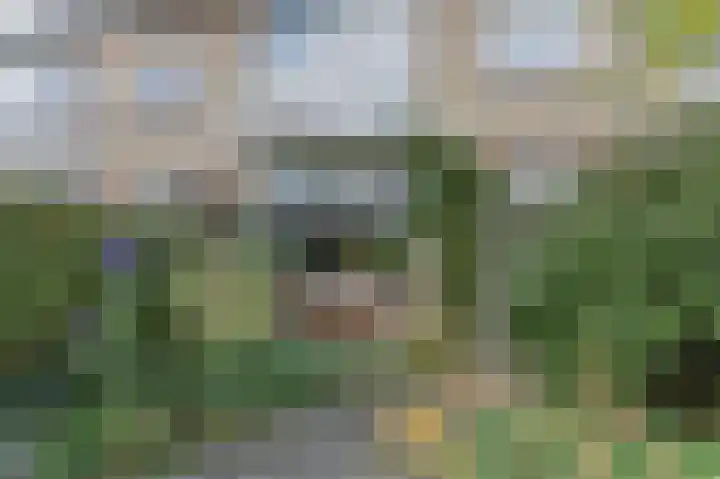 Van Kleffenslaan 8 Utrecht thumbnail 44