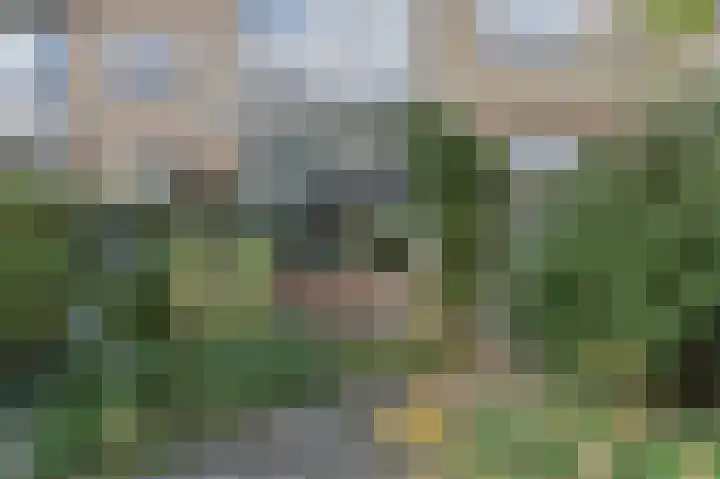 Van Kleffenslaan 8 Utrecht thumbnail 47
