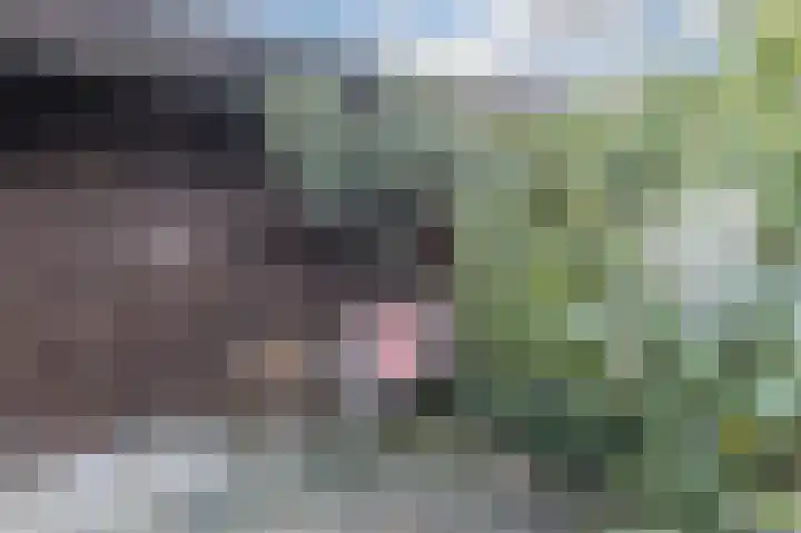 Van Kleffenslaan 8 Utrecht thumbnail 49
