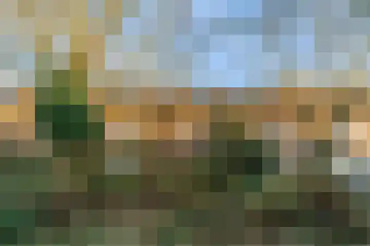 Van Kleffenslaan 8 Utrecht thumbnail 53