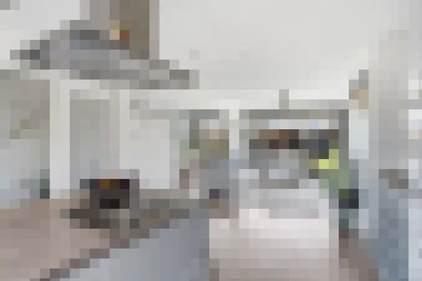 Van Kleffenslaan 91 Middelburg thumbnail 9