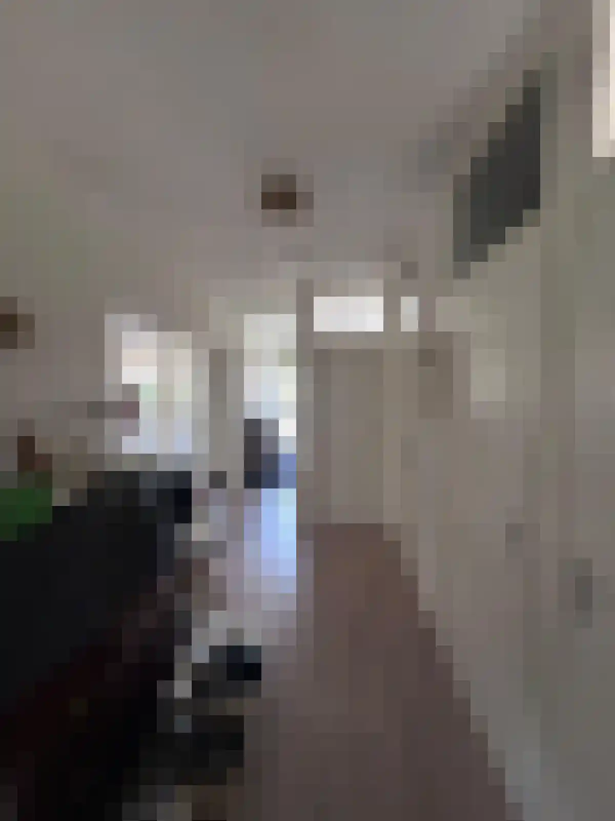 Van Kleffensplantsoen 22 Voorschoten thumbnail 6