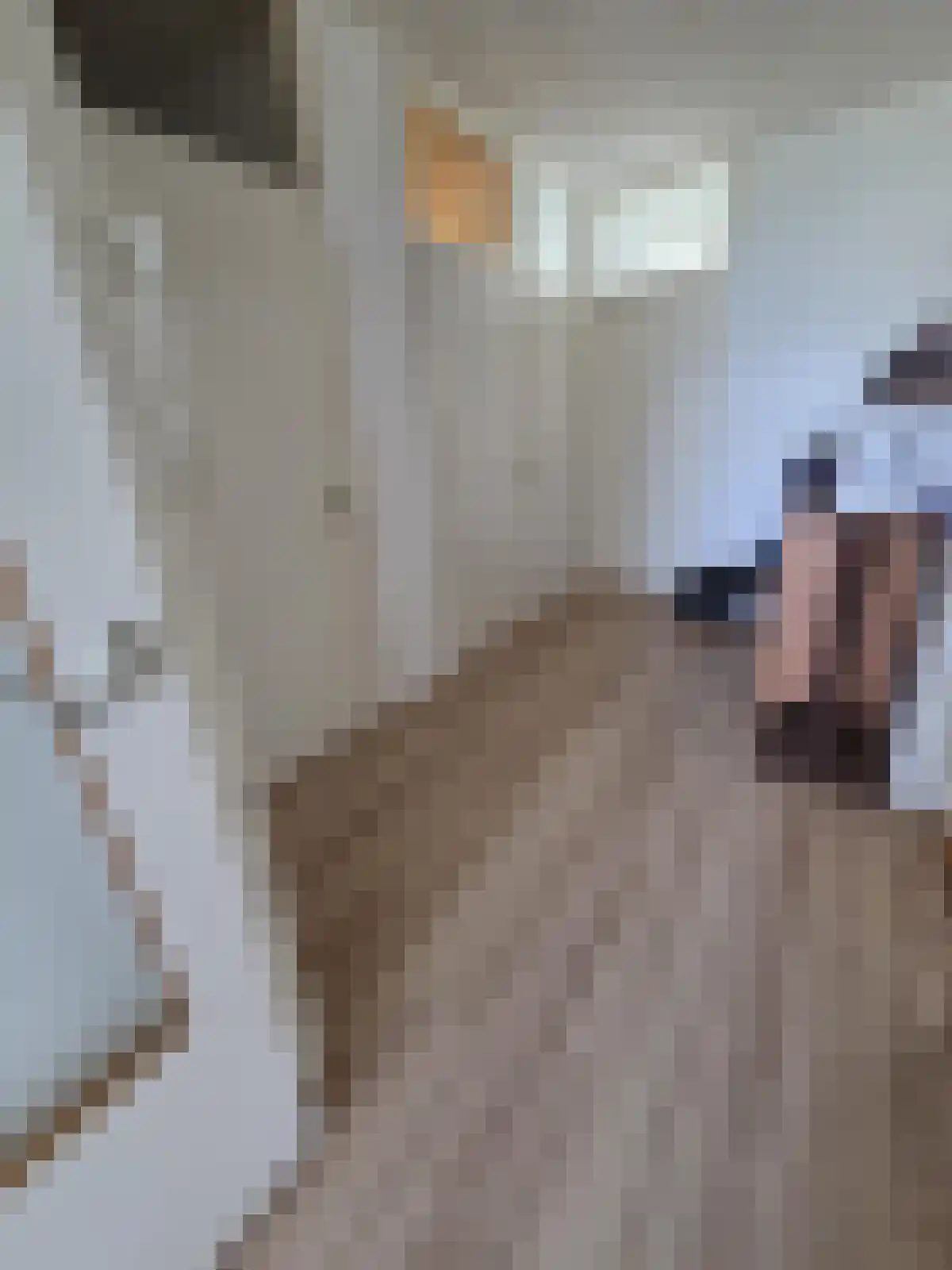 Van Kleffensplantsoen 24 Voorschoten thumbnail 6