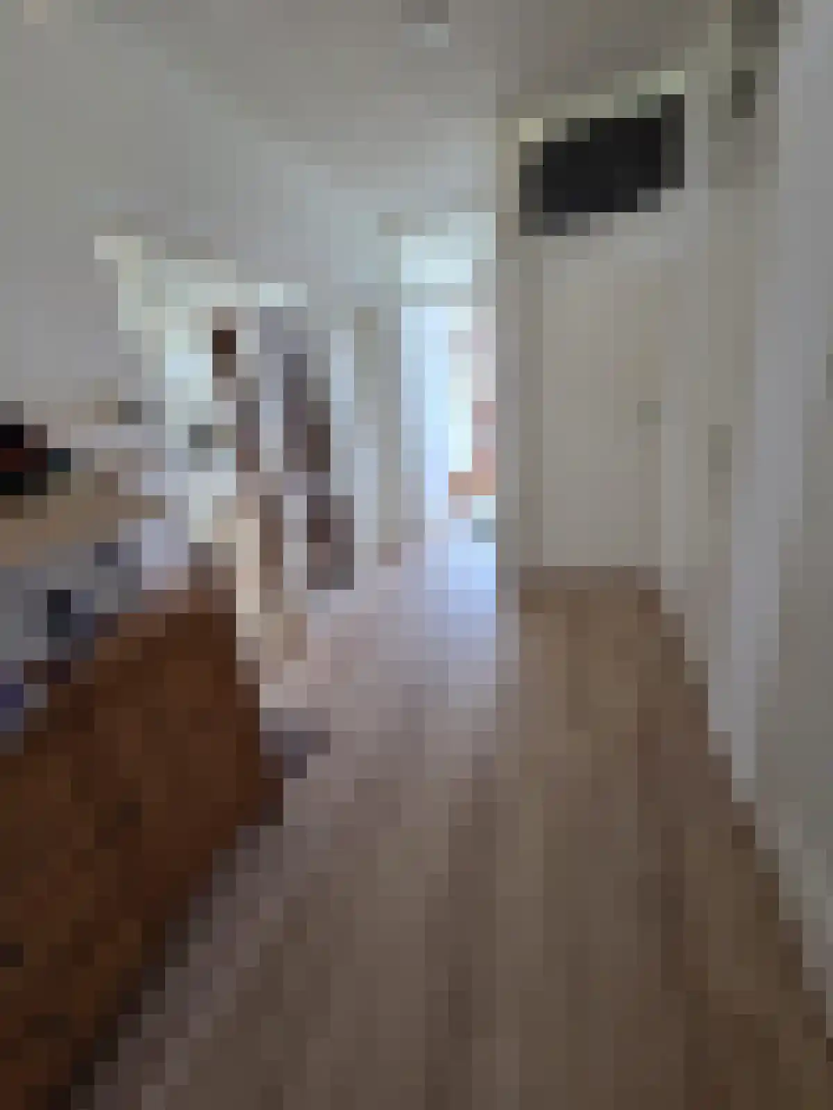 Van Kleffensplantsoen 43 Voorschoten thumbnail 5