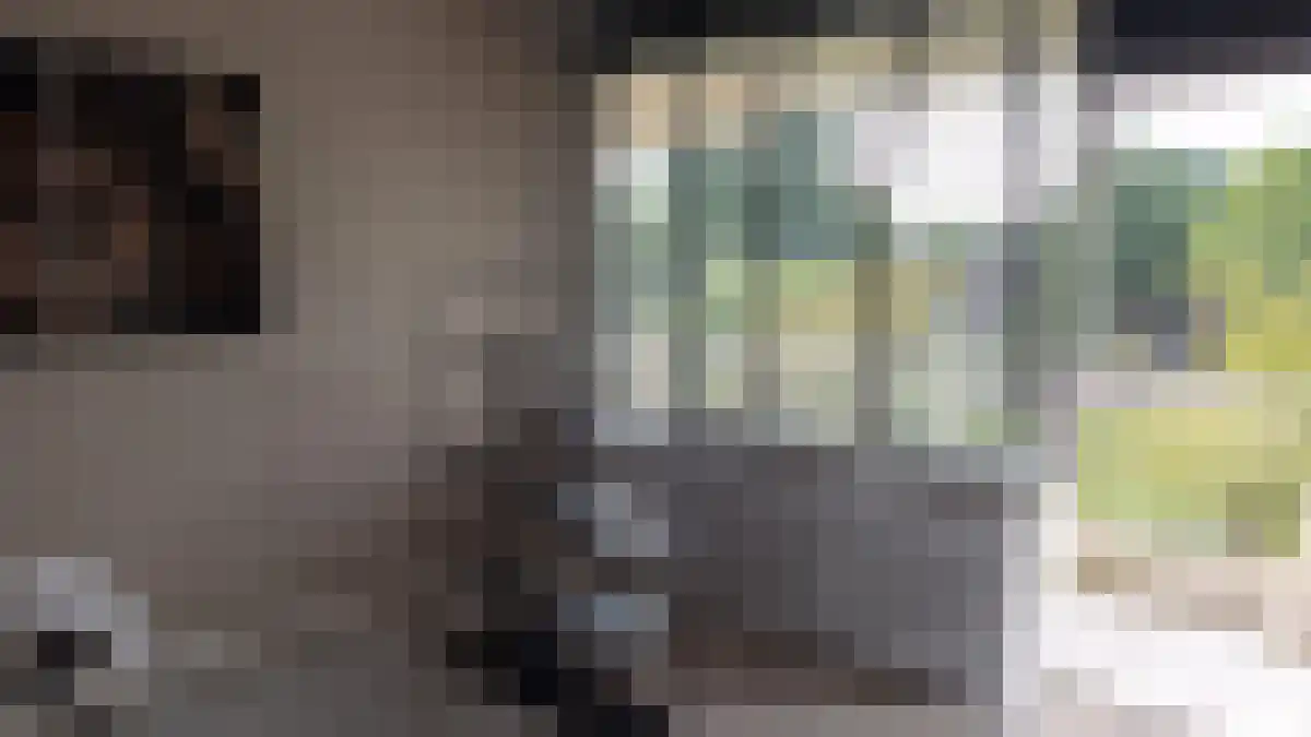 Van Kleffensplantsoen 43 Voorschoten thumbnail 6