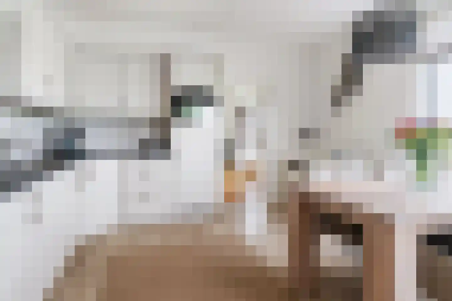 Van Kleffenswei 1 Raard thumbnail 19