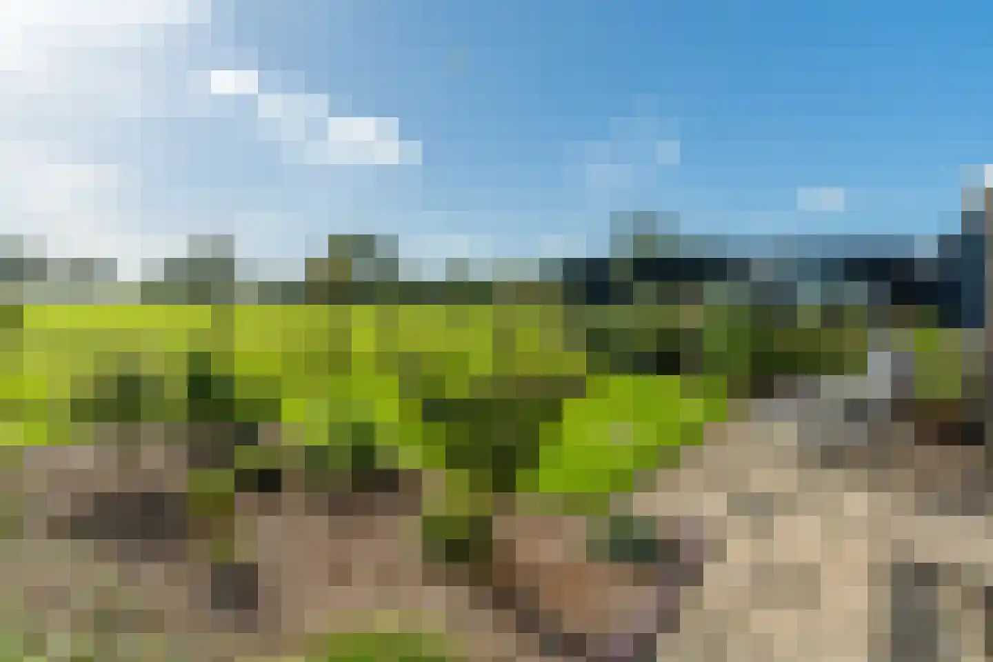 Van Kleffenswei 1 Raard thumbnail 47