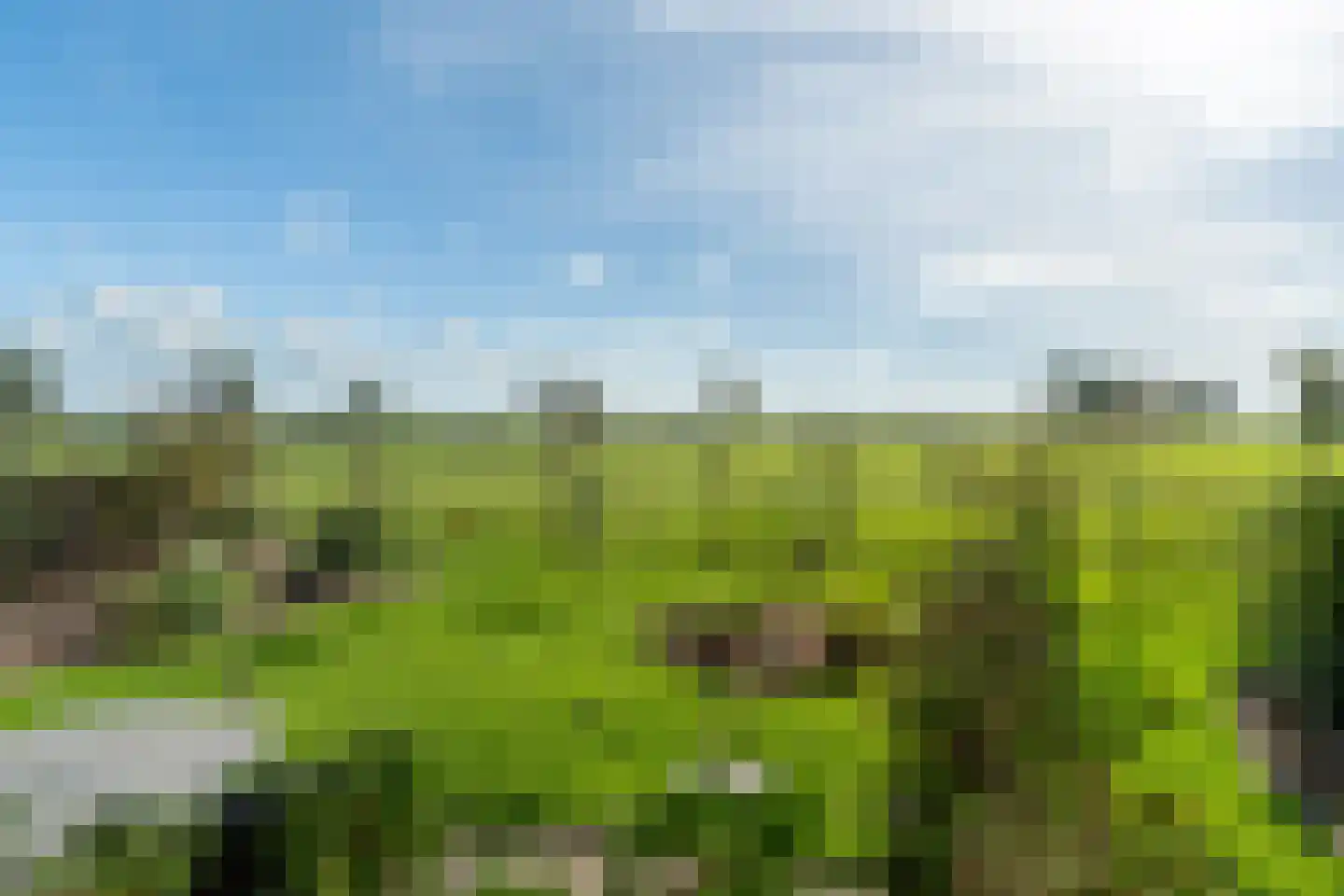 Van Kleffenswei 1 Raard thumbnail 5