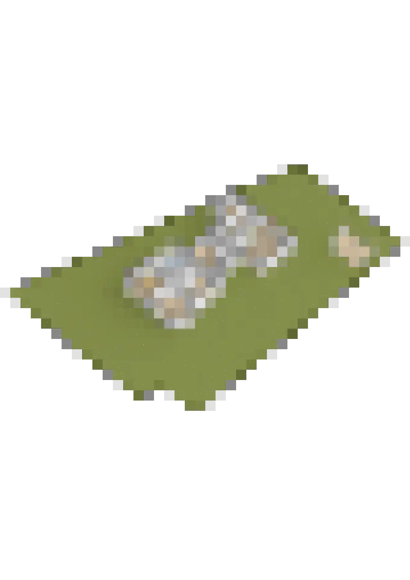Van Kleffenswei 1 Raard thumbnail 63