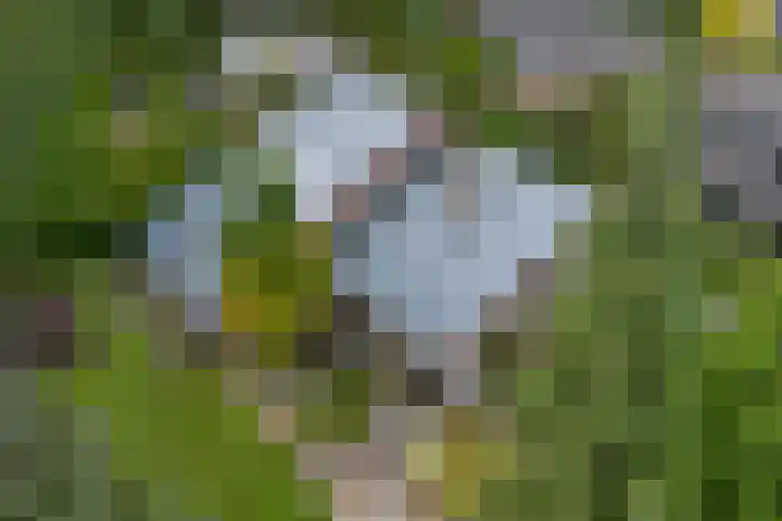Van Kluijvelaan 28 Nijkerk thumbnail 10