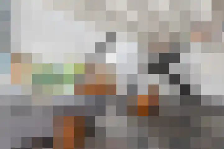 Van Kluijvelaan 28 Nijkerk thumbnail 4