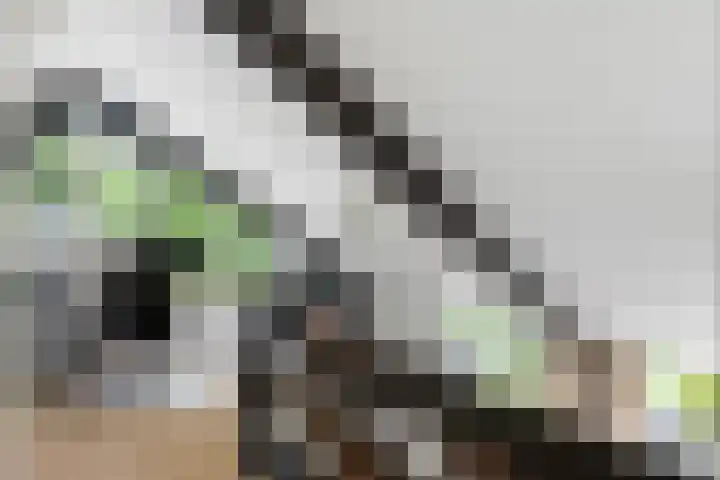 Van Kluijvelaan 28 Nijkerk thumbnail 40