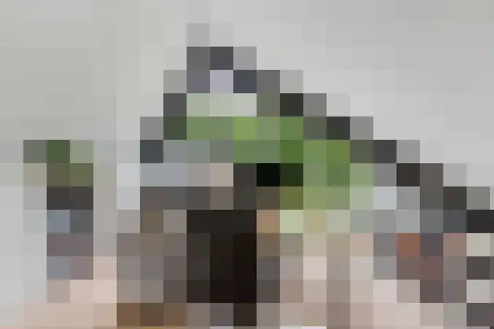 Van Kluijvelaan 28 Nijkerk thumbnail 41