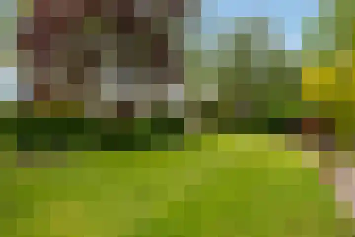 Van Kluijvelaan 28 Nijkerk thumbnail 55