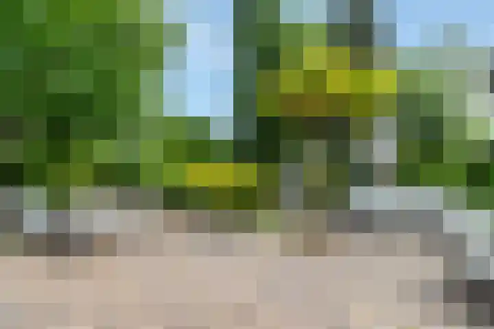 Van Kluijvelaan 28 Nijkerk thumbnail 56