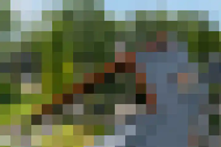 Van Kluijvelaan 28 Nijkerk thumbnail 8