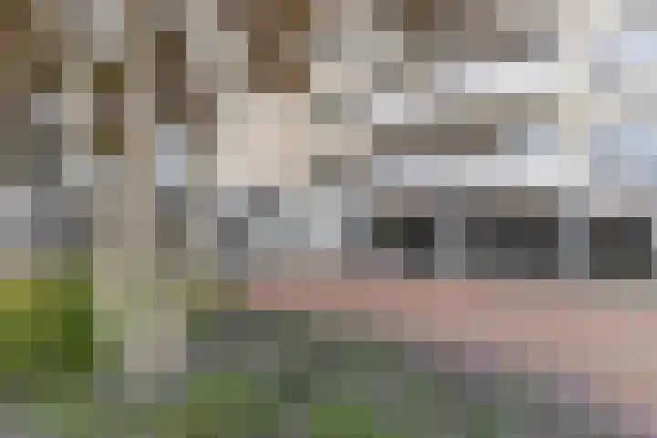 Van Knobelsdorffplein 108 Drachten thumbnail 34