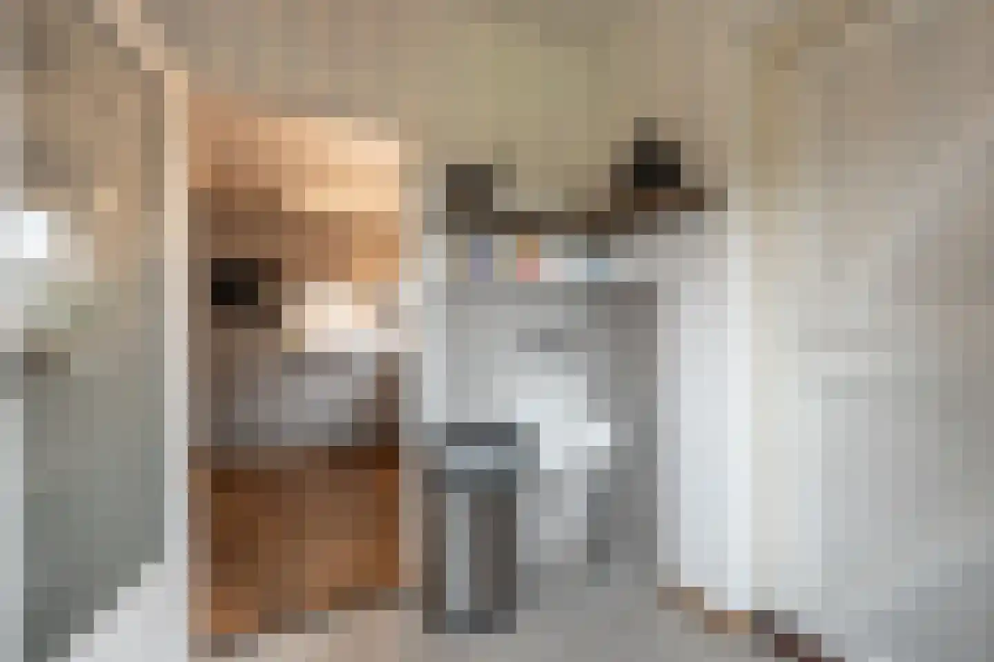 van Koetsveldlaan 11 Westmaas thumbnail 11