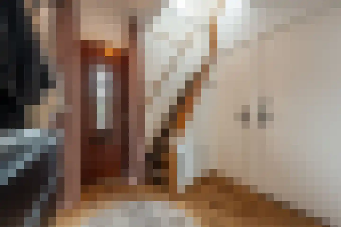 van Koetsveldlaan 11 Westmaas thumbnail 13