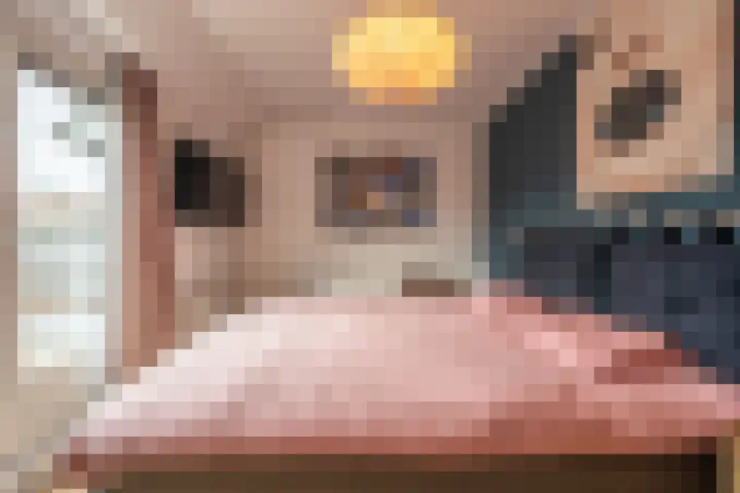 van Koetsveldlaan 11 Westmaas thumbnail 15