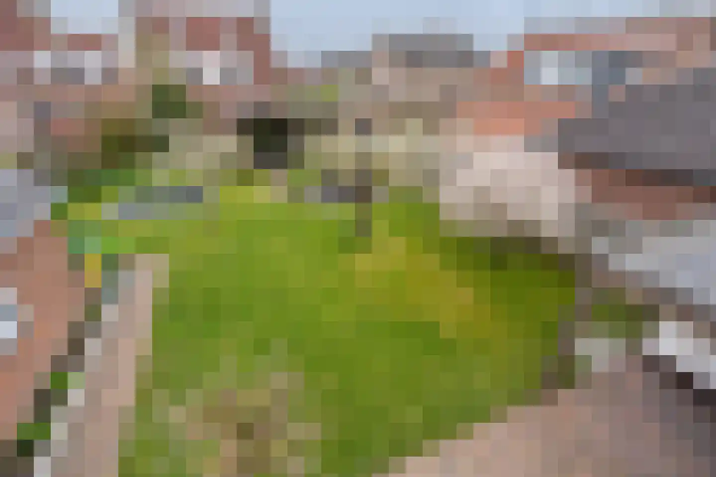 van Koetsveldlaan 11 Westmaas thumbnail 18