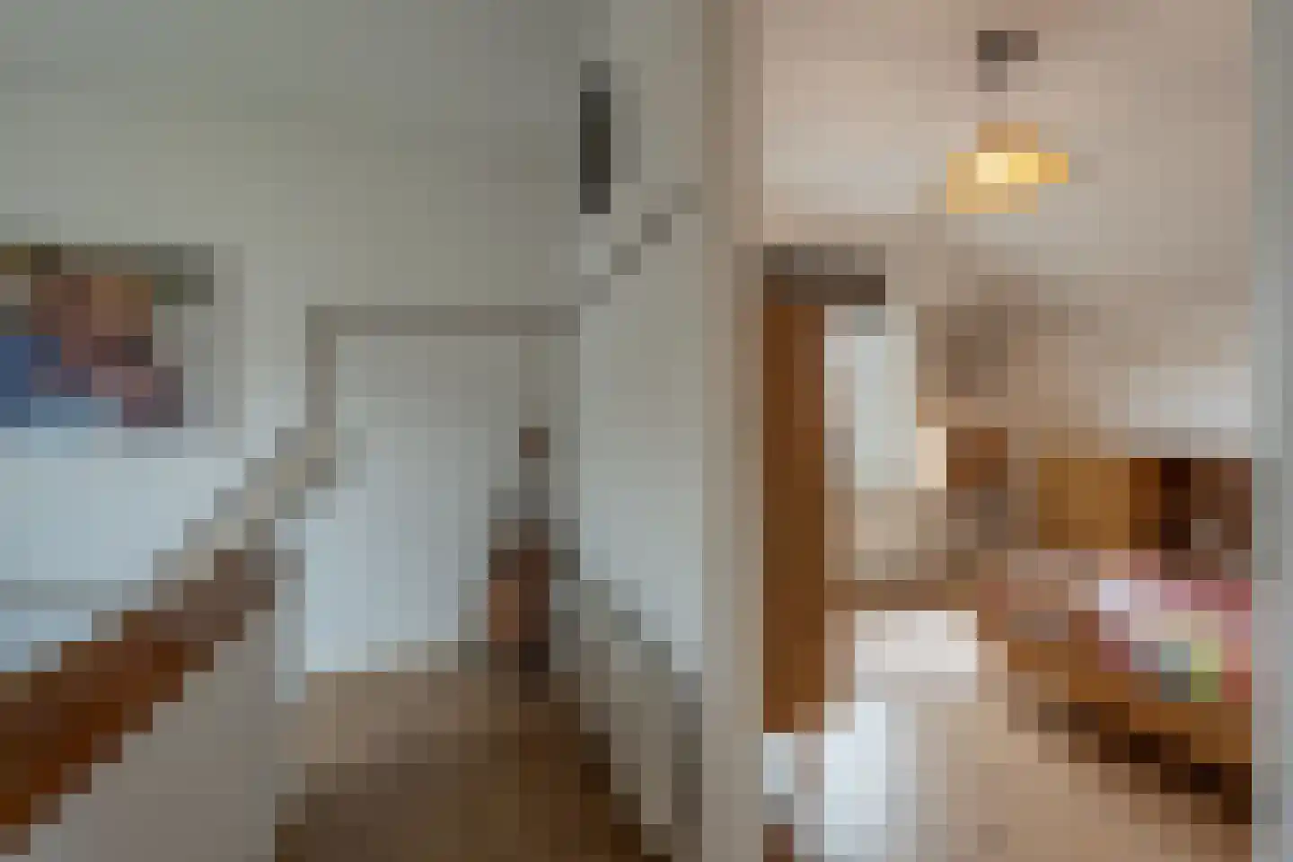 van Koetsveldlaan 11 Westmaas thumbnail 19