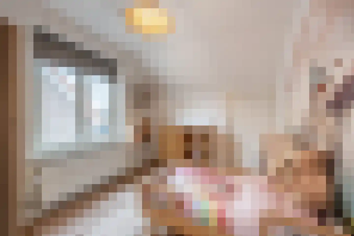 van Koetsveldlaan 11 Westmaas thumbnail 20