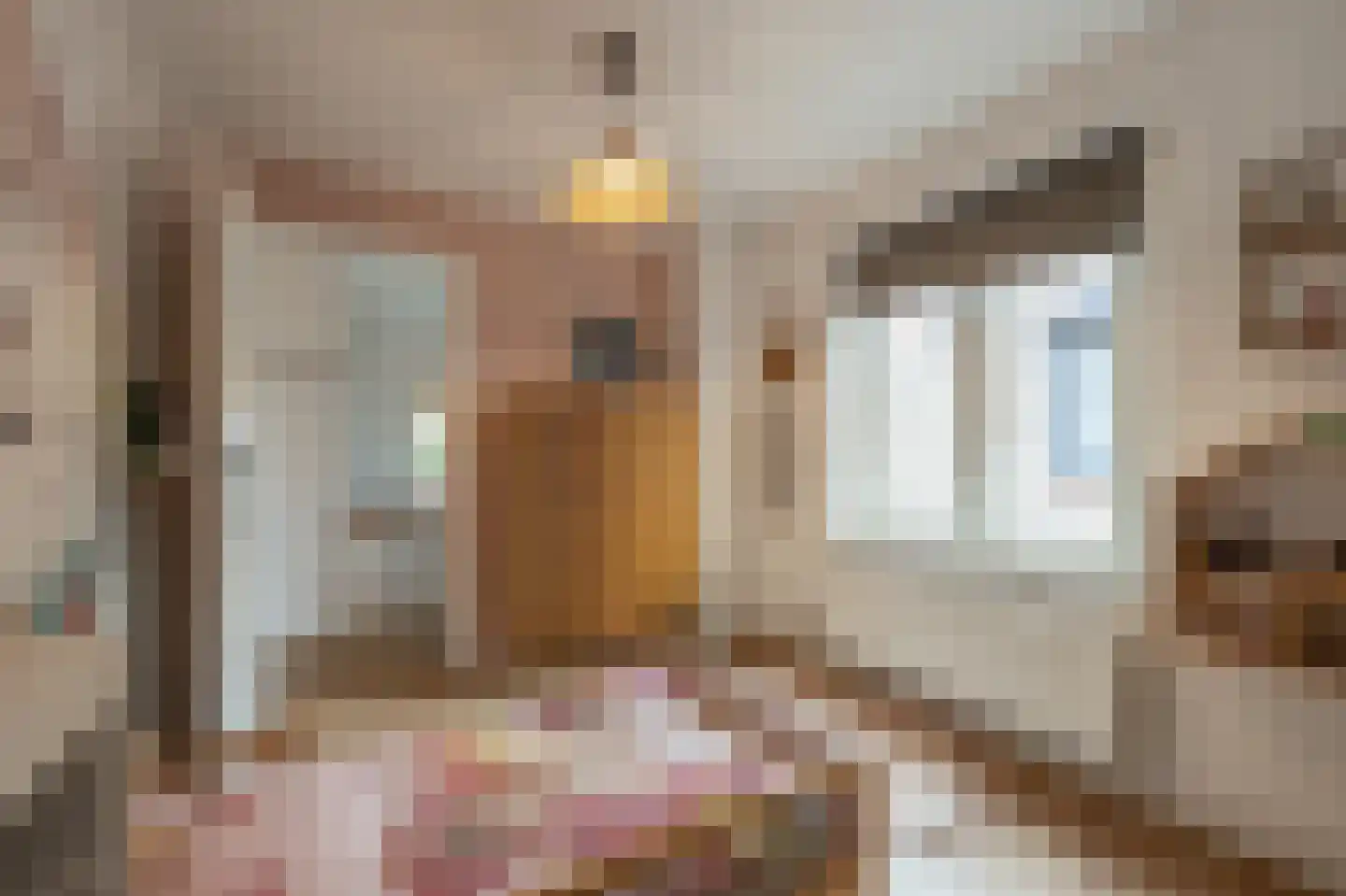 van Koetsveldlaan 11 Westmaas thumbnail 21