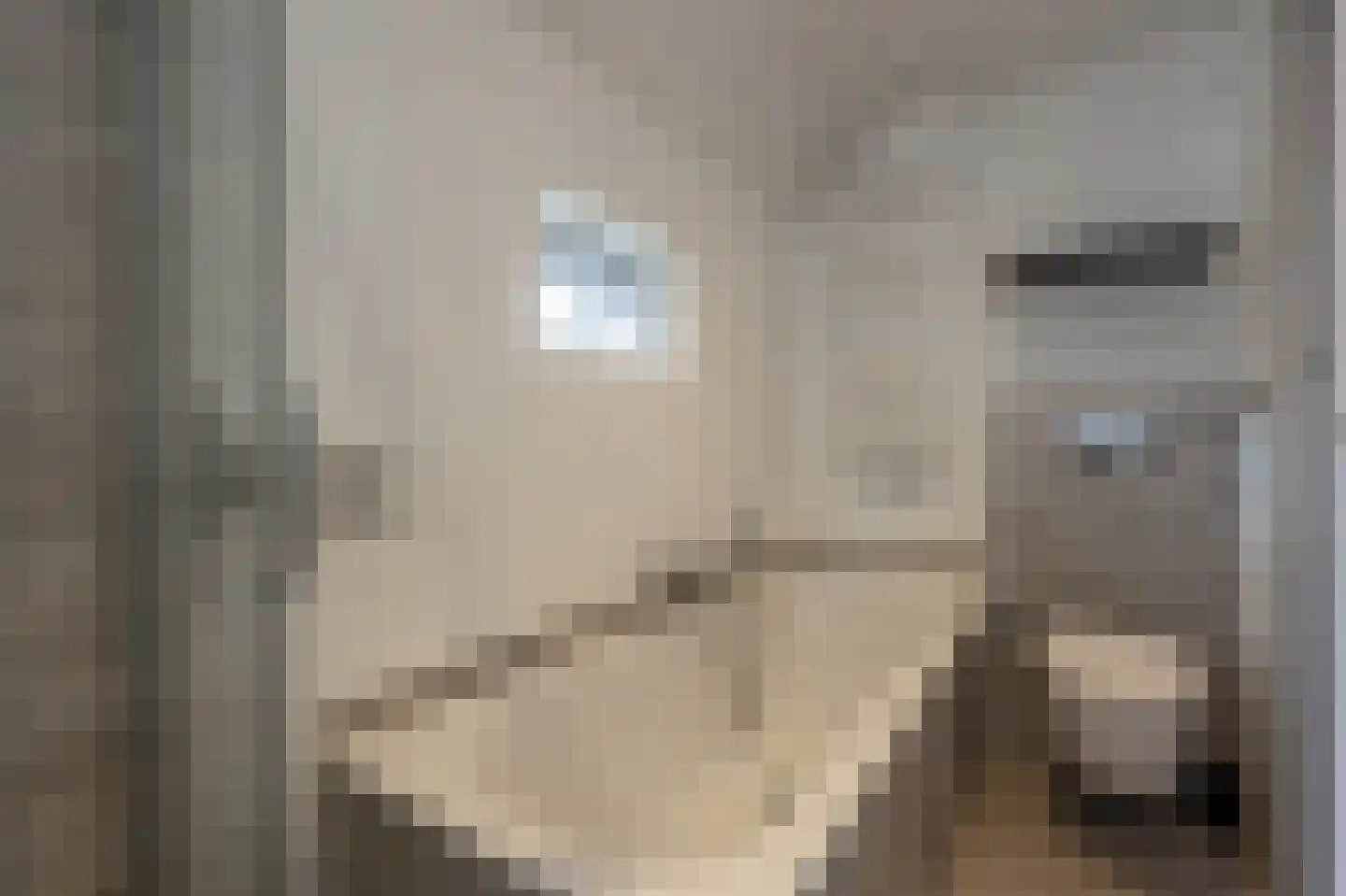 van Koetsveldlaan 11 Westmaas thumbnail 26