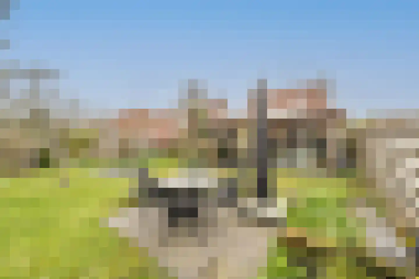 van Koetsveldlaan 11 Westmaas thumbnail 30