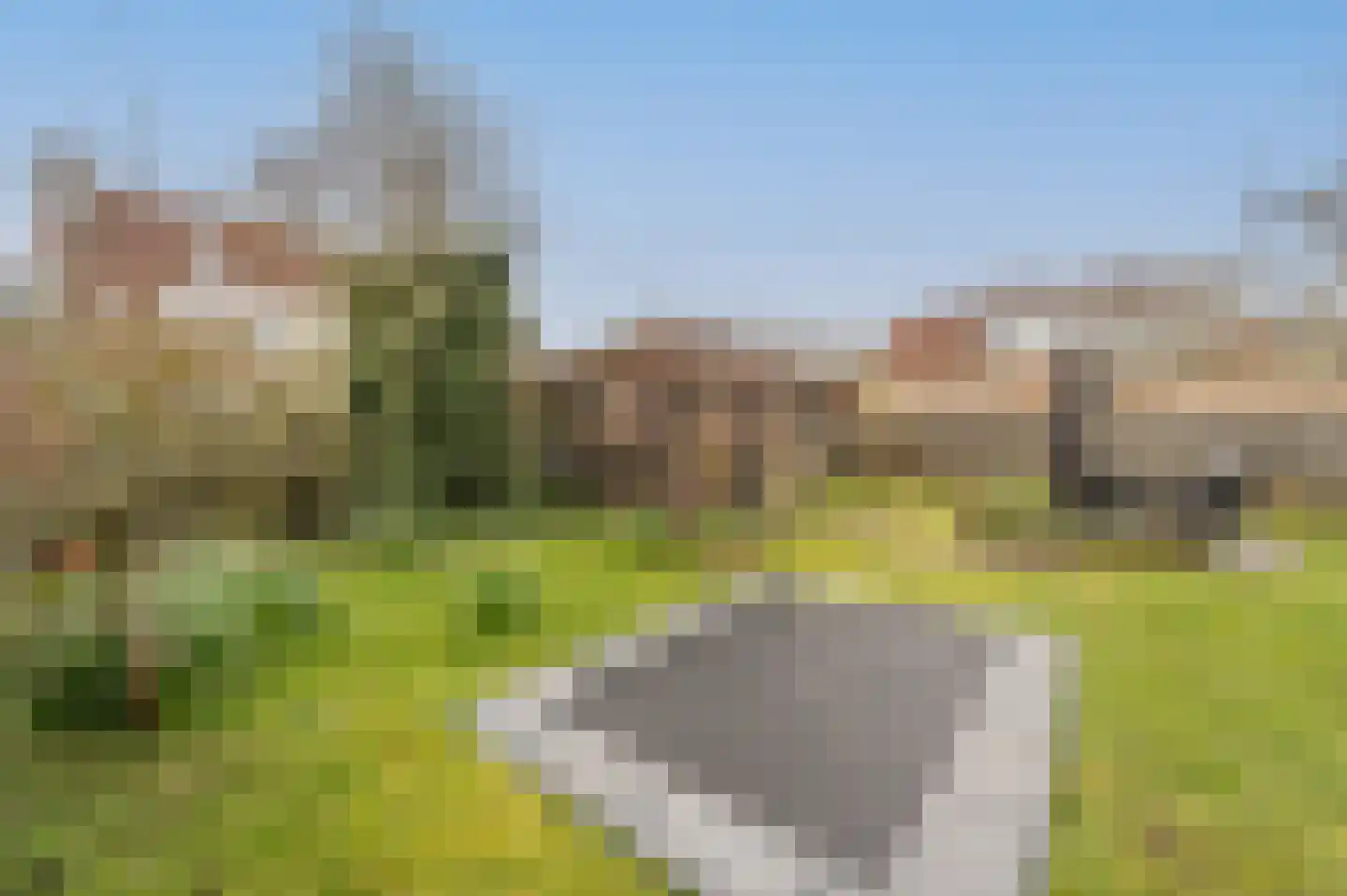 van Koetsveldlaan 11 Westmaas thumbnail 31