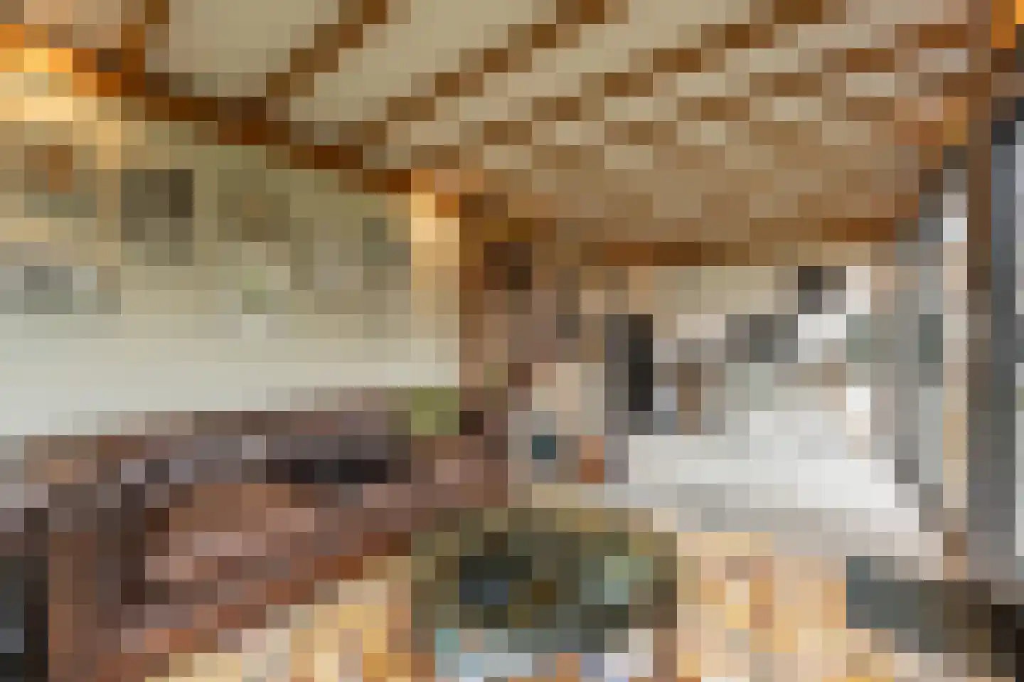 van Koetsveldlaan 11 Westmaas thumbnail 32