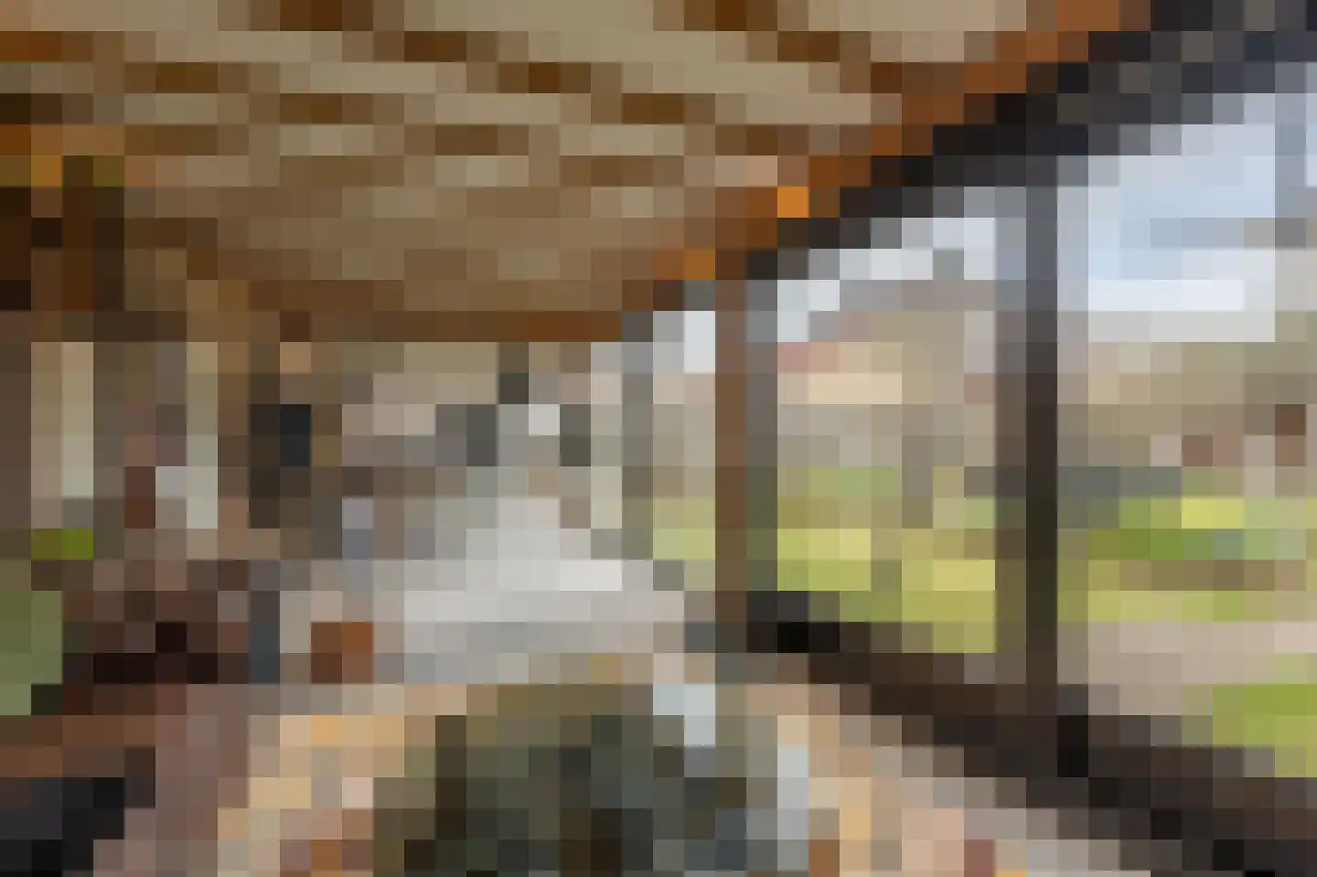 van Koetsveldlaan 11 Westmaas thumbnail 33