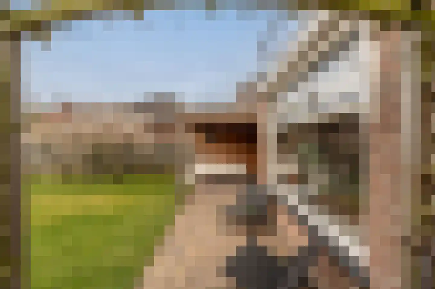 van Koetsveldlaan 11 Westmaas thumbnail 35