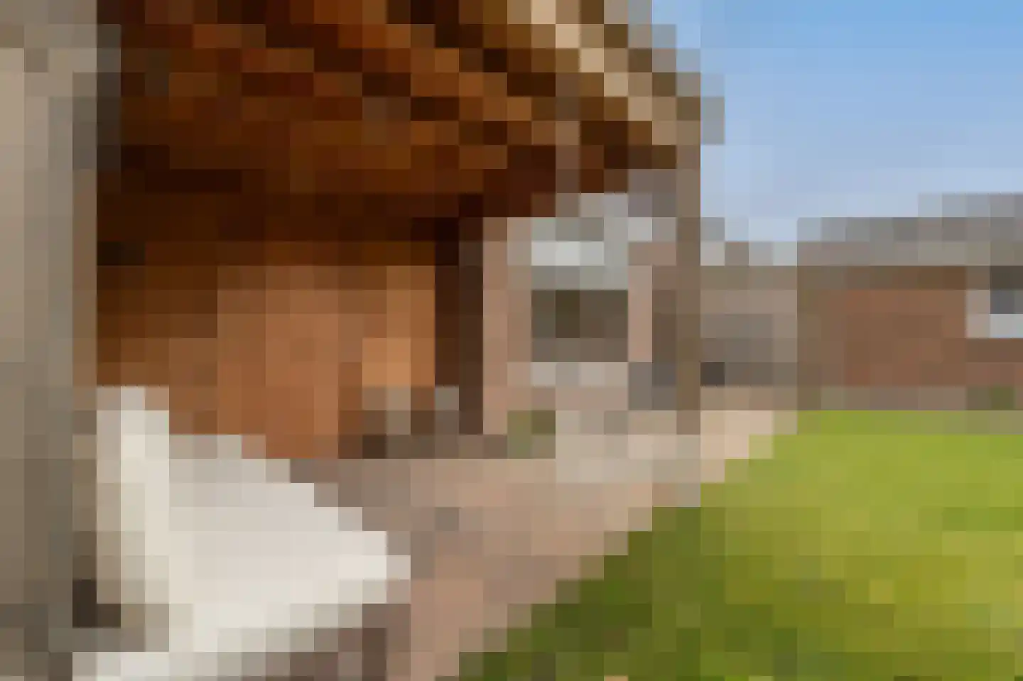 van Koetsveldlaan 11 Westmaas thumbnail 36