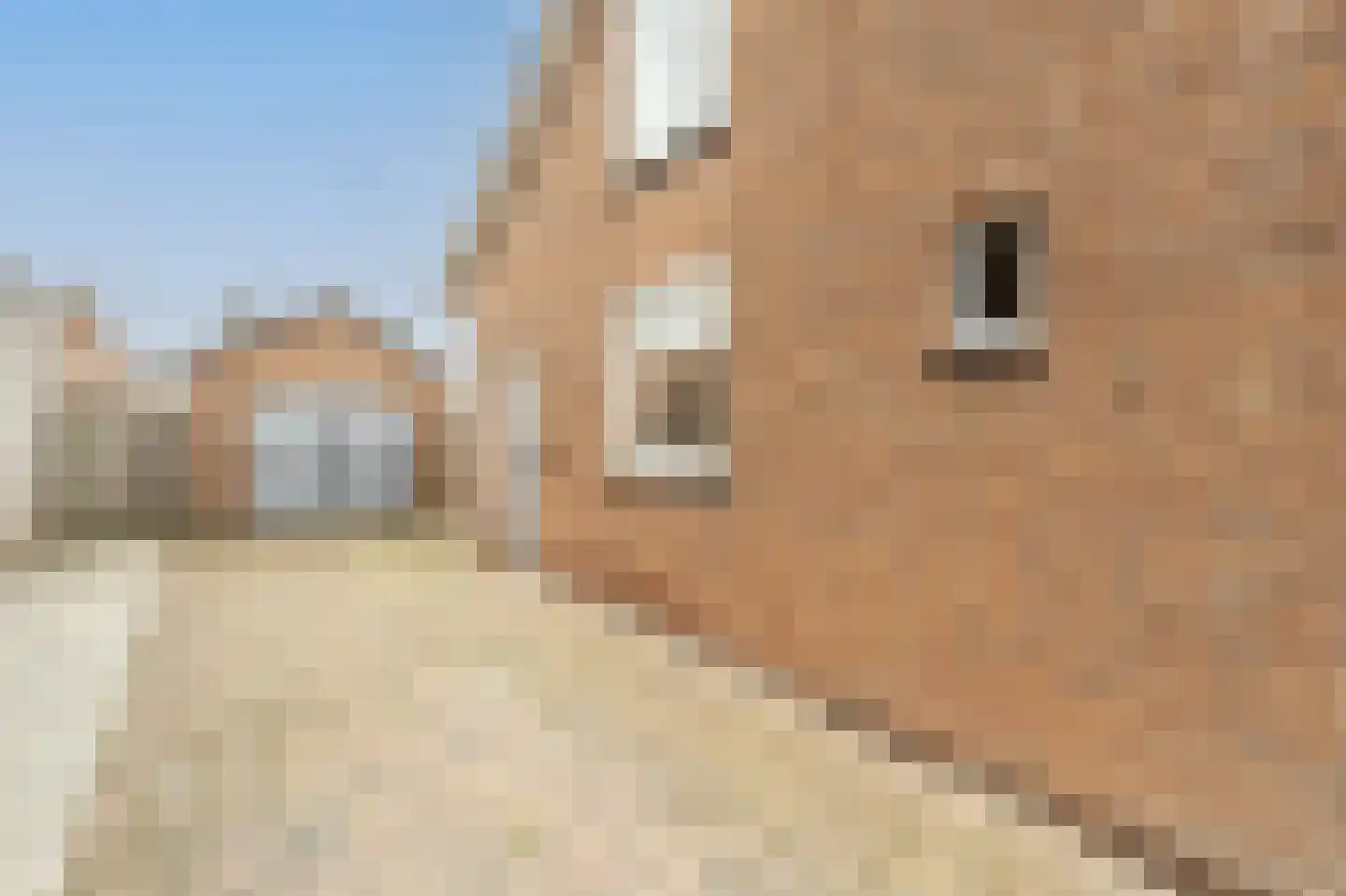 van Koetsveldlaan 11 Westmaas thumbnail 37